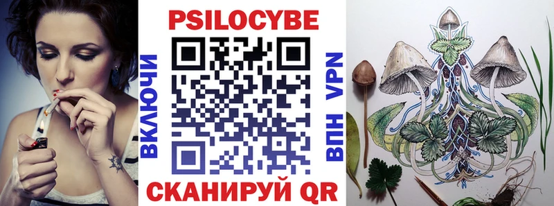 Купить закладки  Давлеканово  Псилоцибиновые грибы мухоморы 